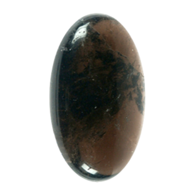 Galet Shungite